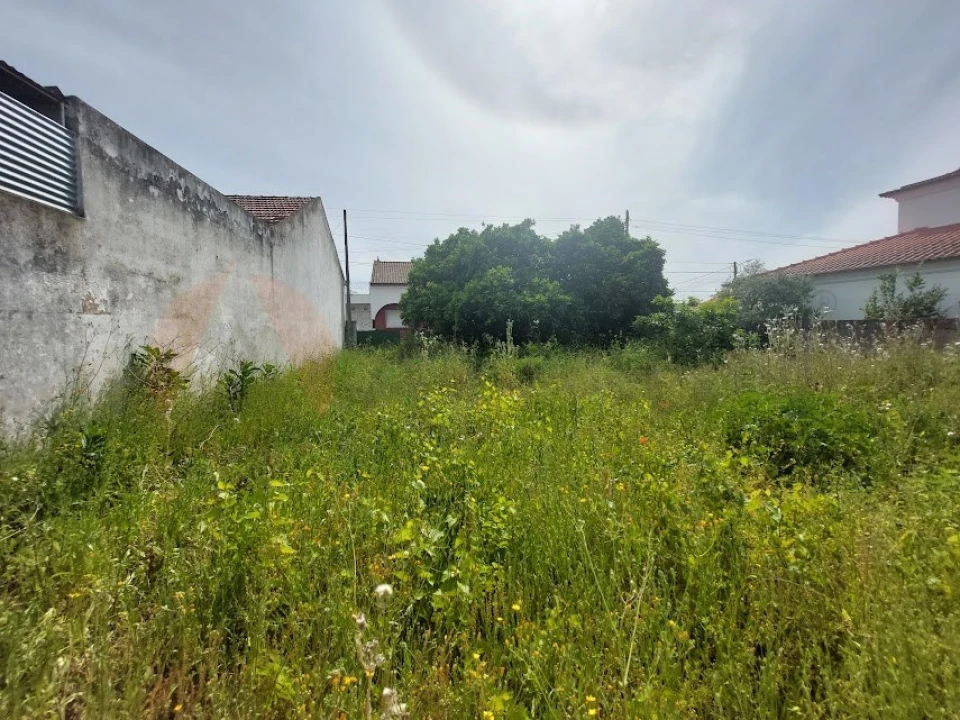 Terreno para Venda em Alpiarça Foto 5