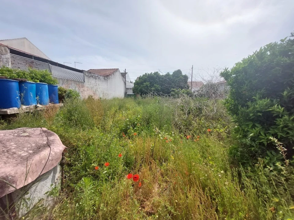 Terreno para Venda em Alpiarça Foto 6