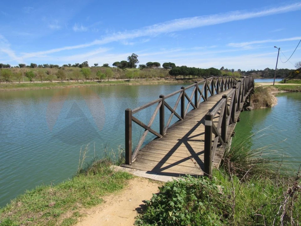Terreno para Venda em Alpiarça Foto 1
