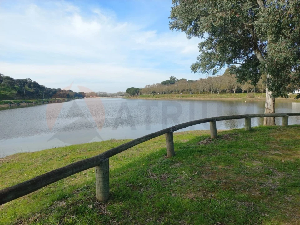 Terreno para Venda em Alpiarça Foto 9