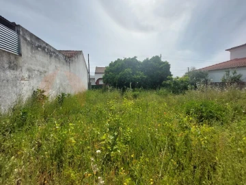 Terreno para Venda em Alpiarça