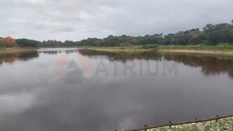 Terreno para Venda em Alpiarça