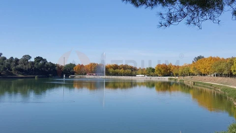 Terreno para Venda em Alpiarça