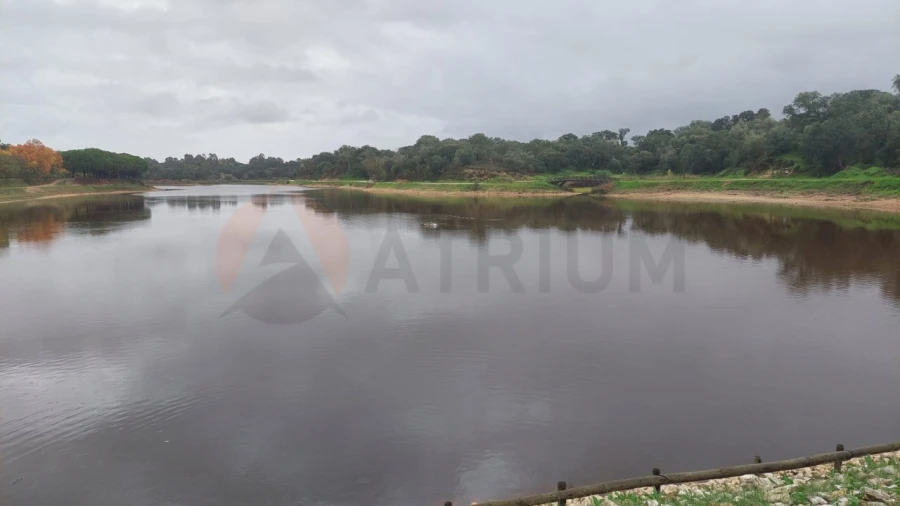 Terreno para Venda em Alpiarça Foto 7