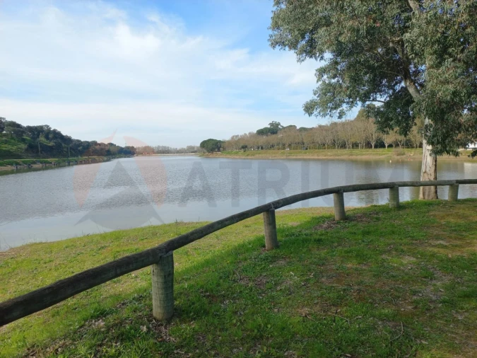 Terreno para Venda em Alpiarça Foto 9