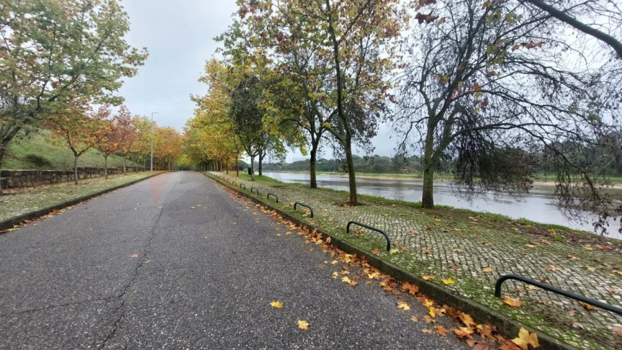 Terreno para Venda em Alpiarça Foto 10