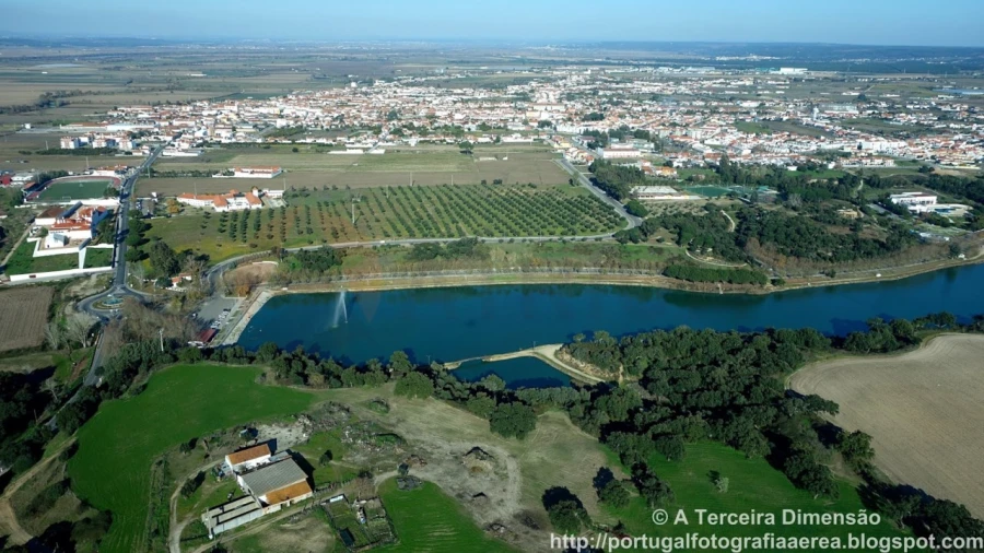 Terreno para Venda em Alpiarça Foto 13