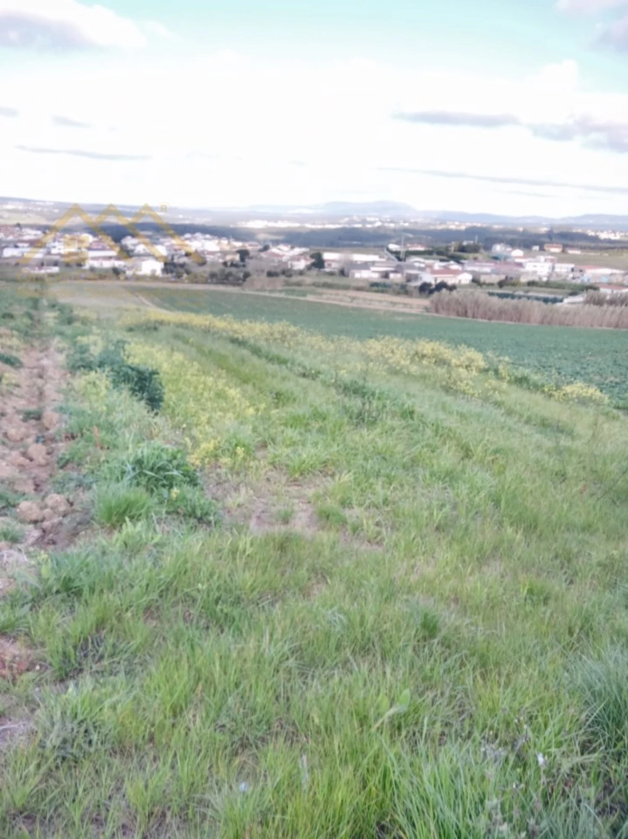 Terreno Agricola ou Rústico para Venda em Santa Barbara Foto 3