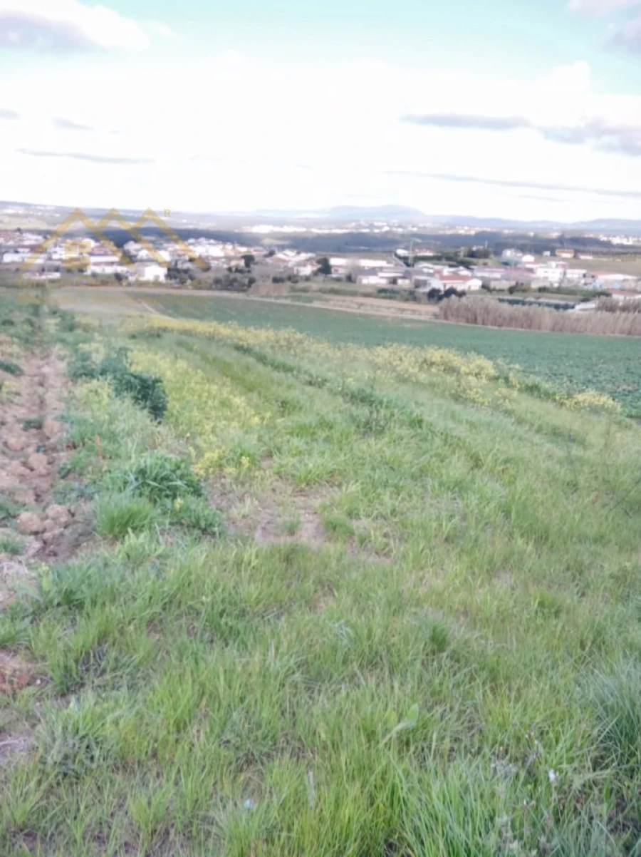 Terreno Agricola ou Rústico para Venda em Santa Barbara Foto 3