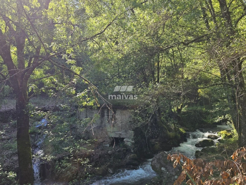 Negócio para Venda em Valdreu Foto 1