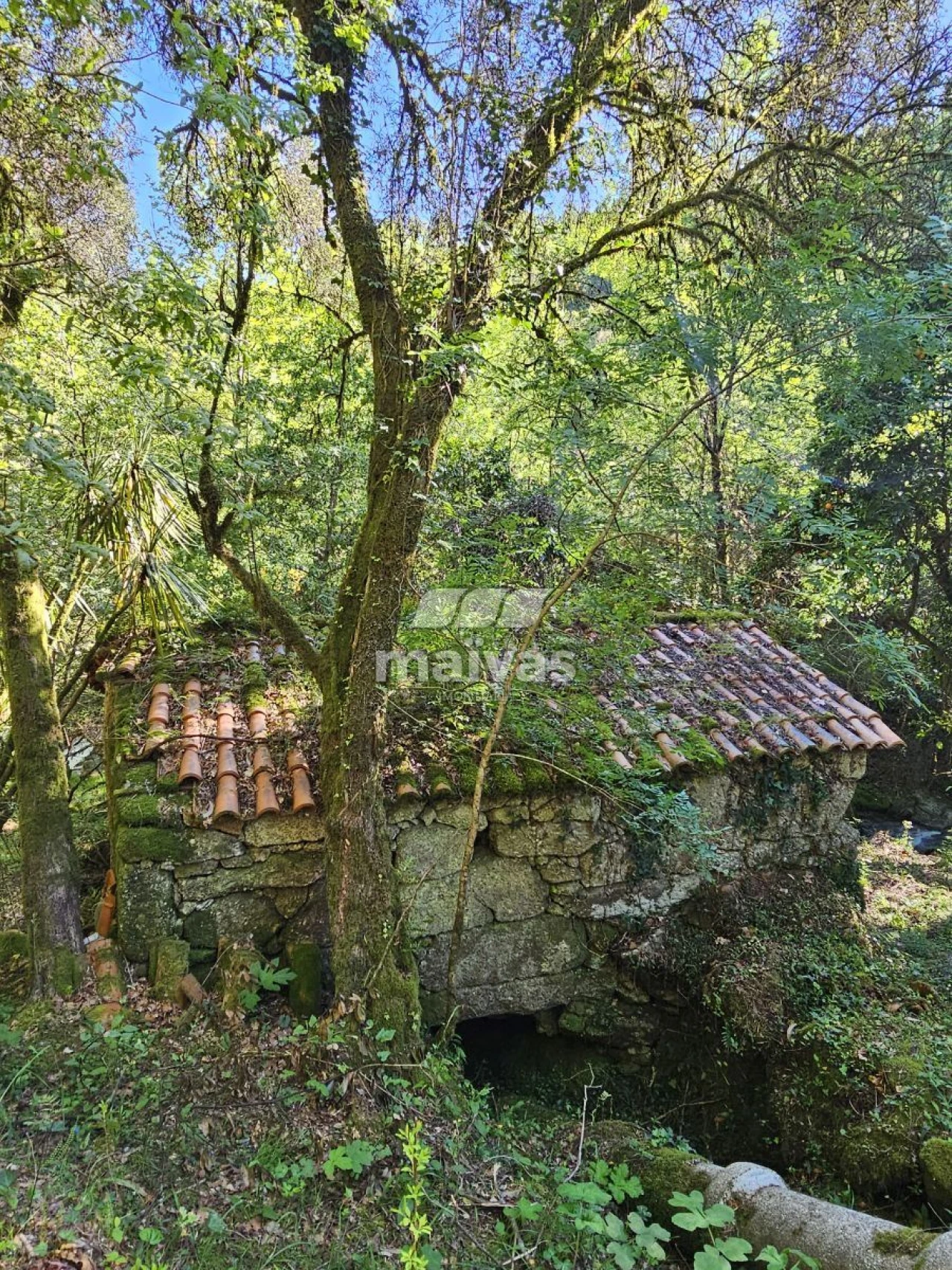 Negócio para Venda em Valdreu Foto 4