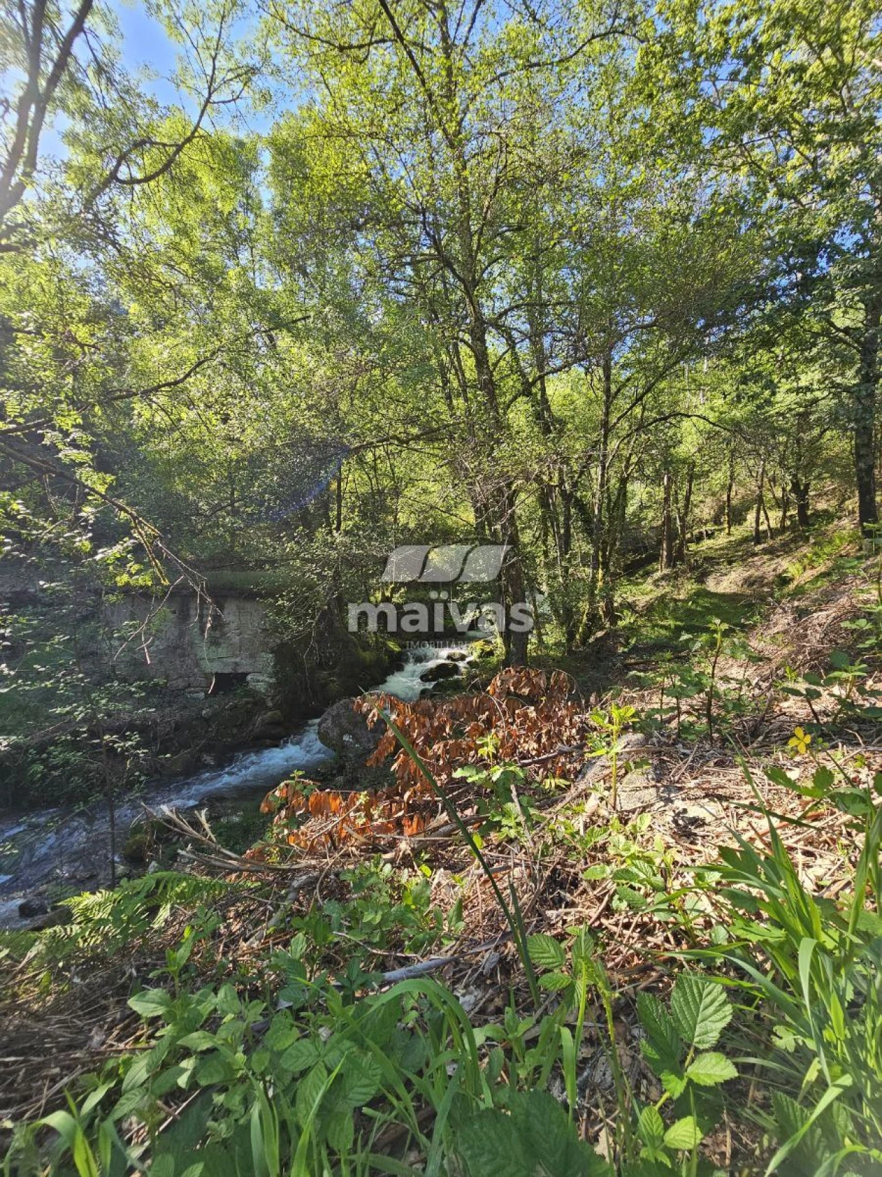 Negócio para Venda em Valdreu Foto 6