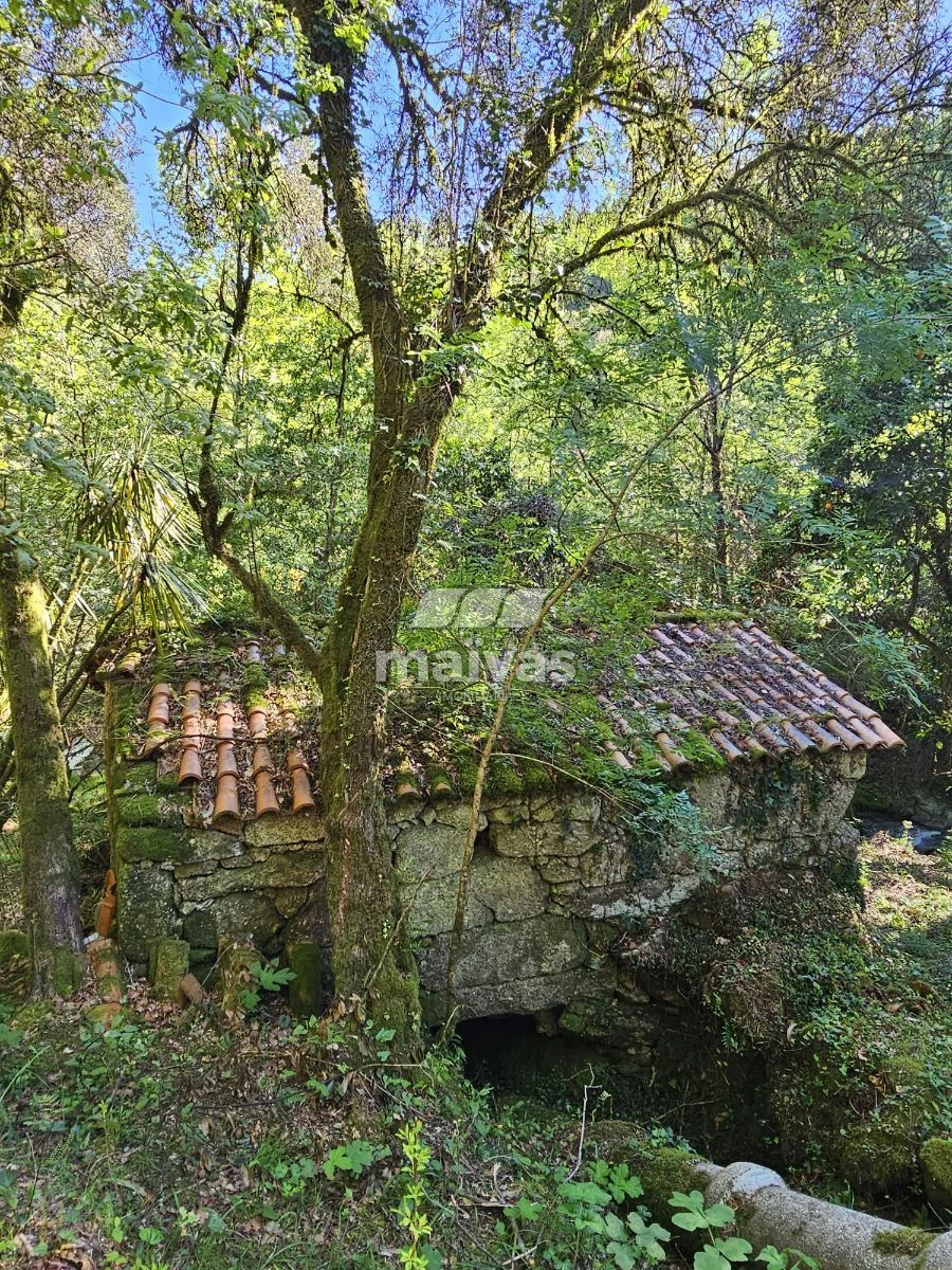 Negócio para Venda em Valdreu Foto 4
