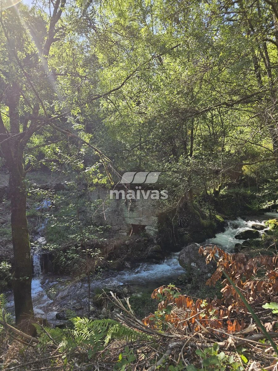 Negócio para Venda em Valdreu Foto 8