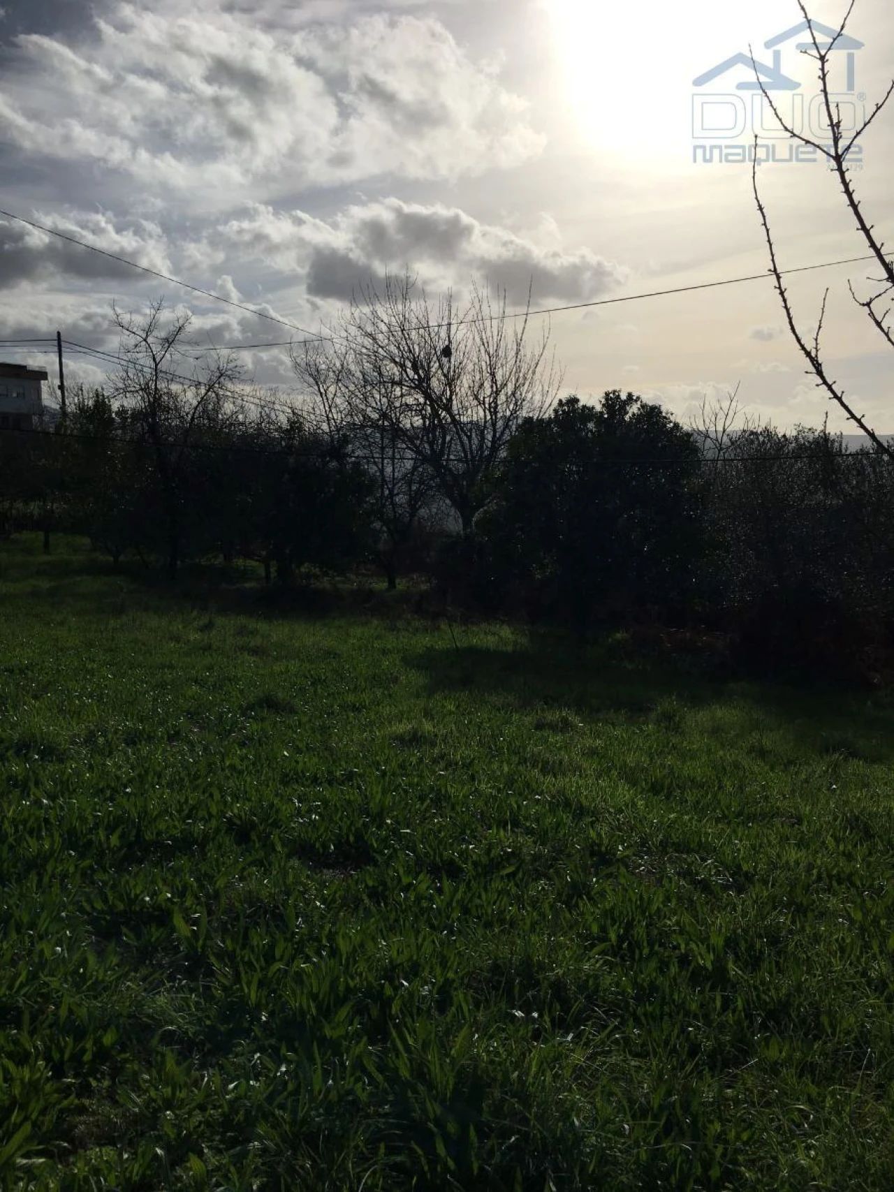 Terreno Agricola ou Rústico para Venda em Souselo Foto 2