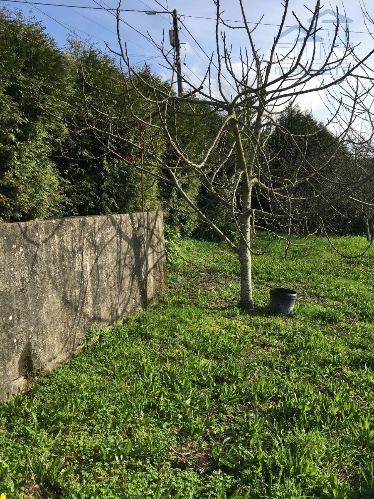 Terreno Agricola ou Rústico para Venda em Souselo Foto 4