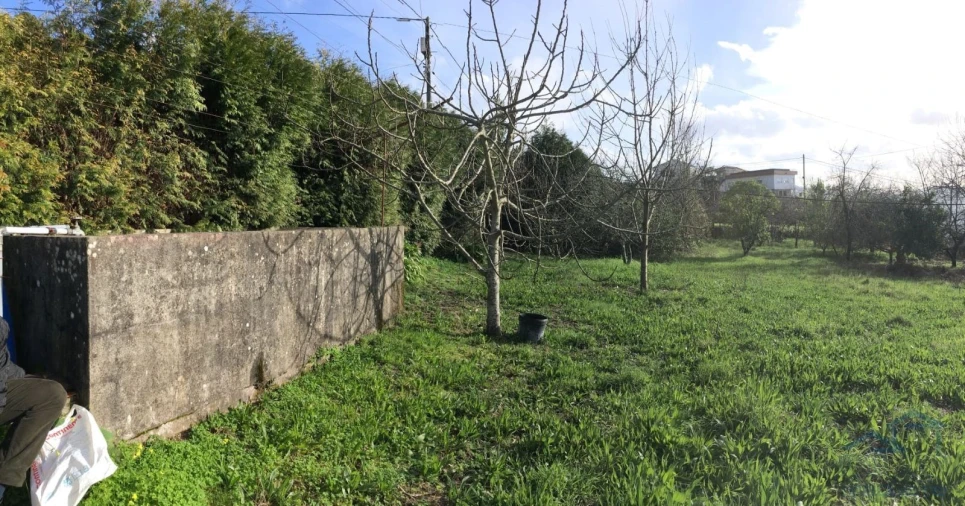 Terreno Agricola ou Rústico para Venda em Souselo Foto 1