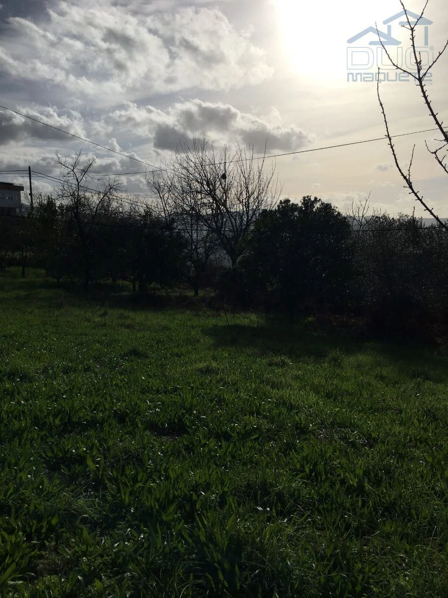 Terreno Agricola ou Rústico para Venda em Souselo Foto 2