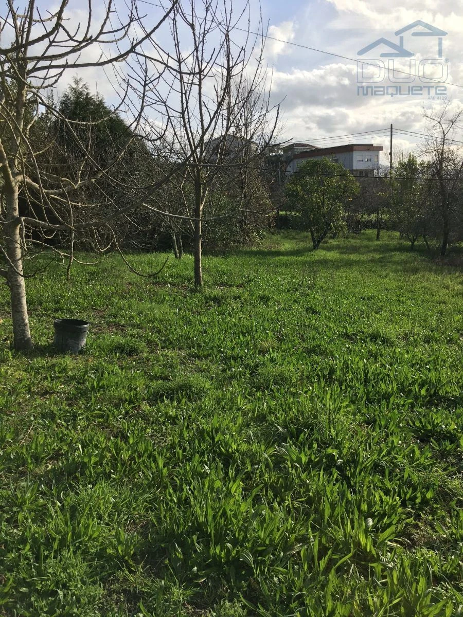 Terreno Agricola ou Rústico para Venda em Souselo Foto 3