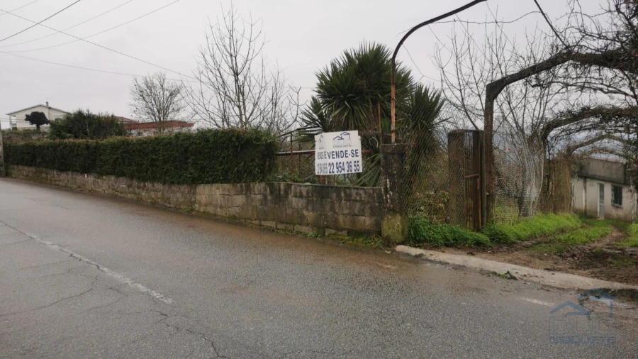 Terreno Agricola ou Rústico para Venda em Souselo Foto 5