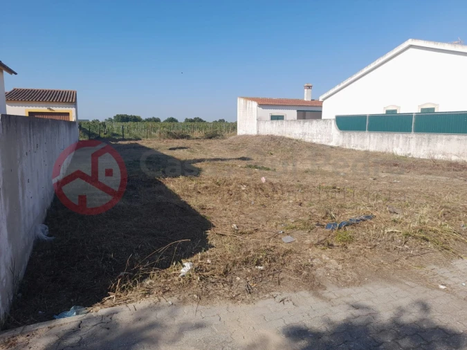 Moradia T3 para Venda em Muge Foto 14