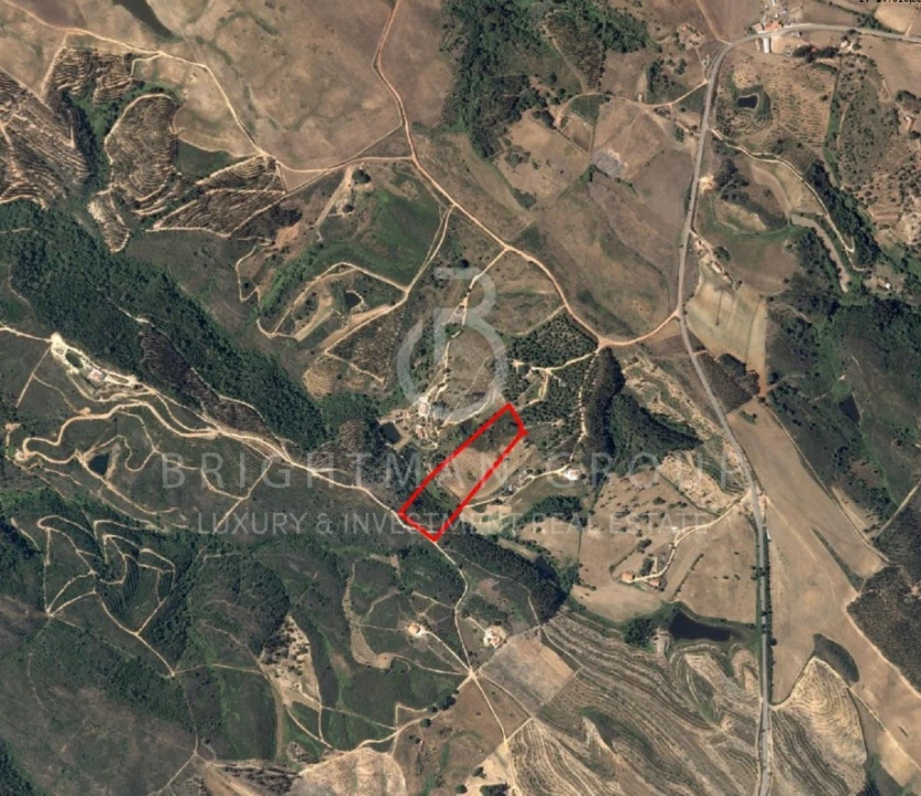 Terreno para Venda em São Teotónio Foto 4