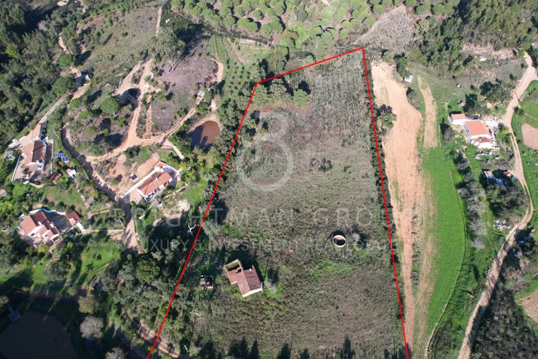 Terreno para Venda em São Teotónio Foto 5