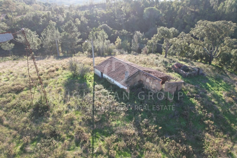 Terreno para Venda em São Teotónio Foto 8