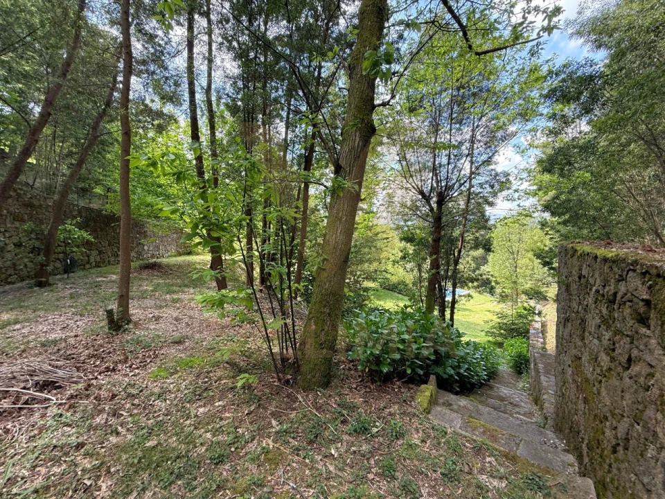 Moradia T3 para Venda em Bárrio e Cepões Foto 22