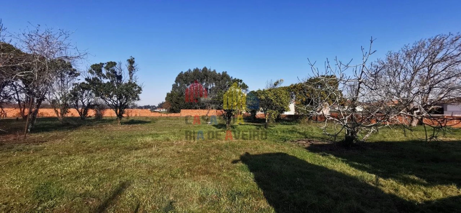 Terreno para Venda em Beduído e Veiros Foto 3