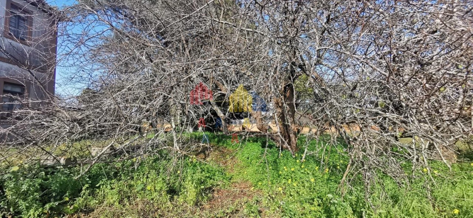 Terreno para Venda em Beduído e Veiros Foto 5
