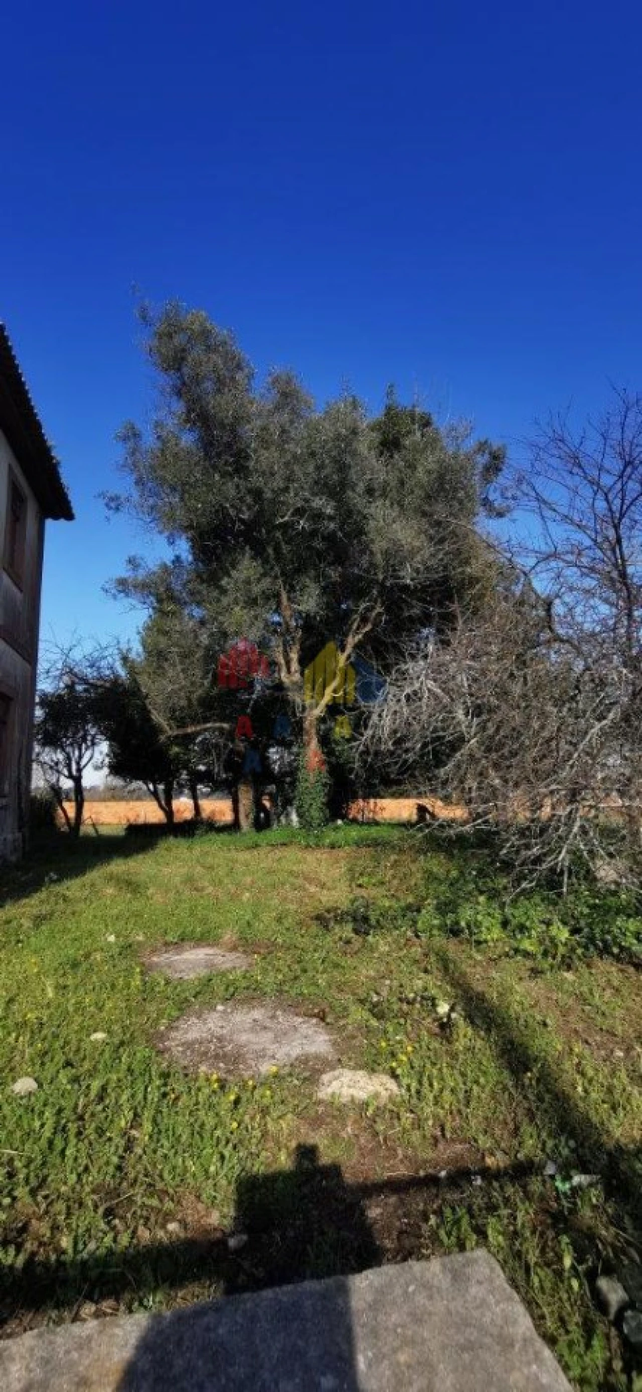 Terreno para Venda em Beduído e Veiros Foto 6