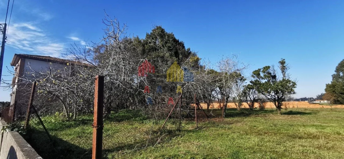 Terreno para Venda em Beduído e Veiros Foto 4