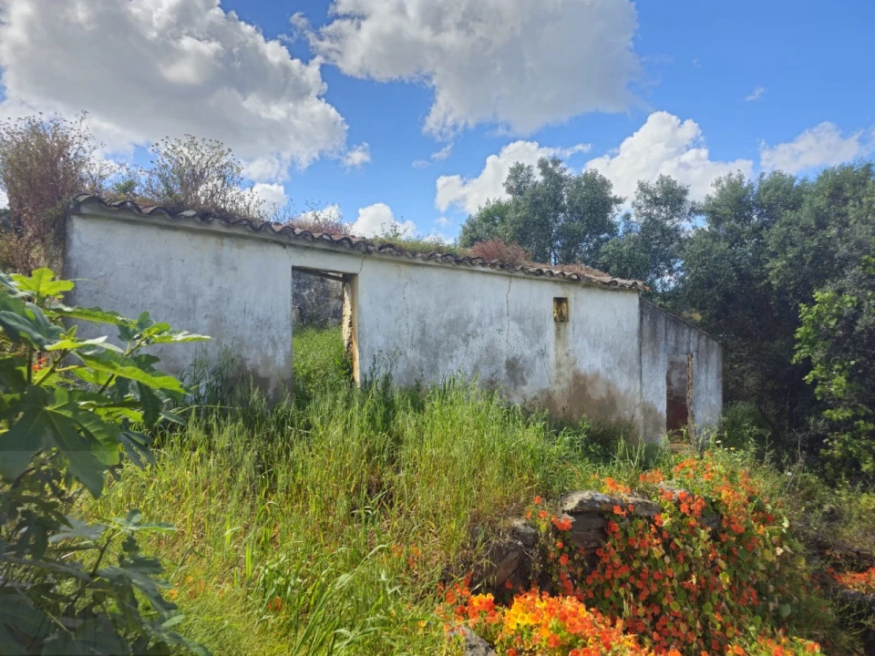 Quinta T2 para Venda em Santa Catarina da Fonte do Bispo Foto 1