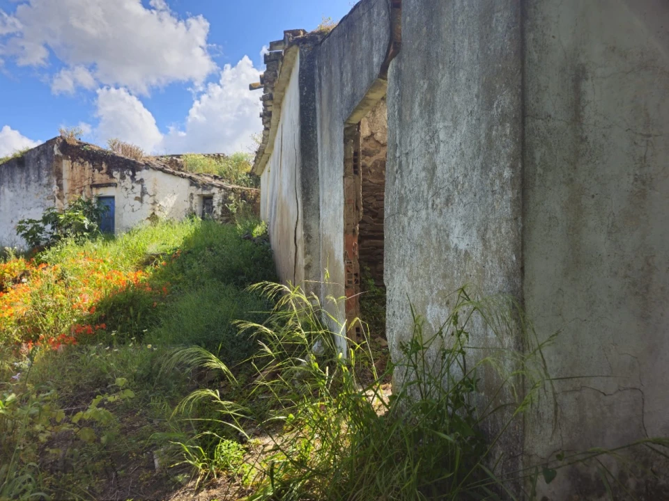 Quinta T2 para Venda em Santa Catarina da Fonte do Bispo Foto 3
