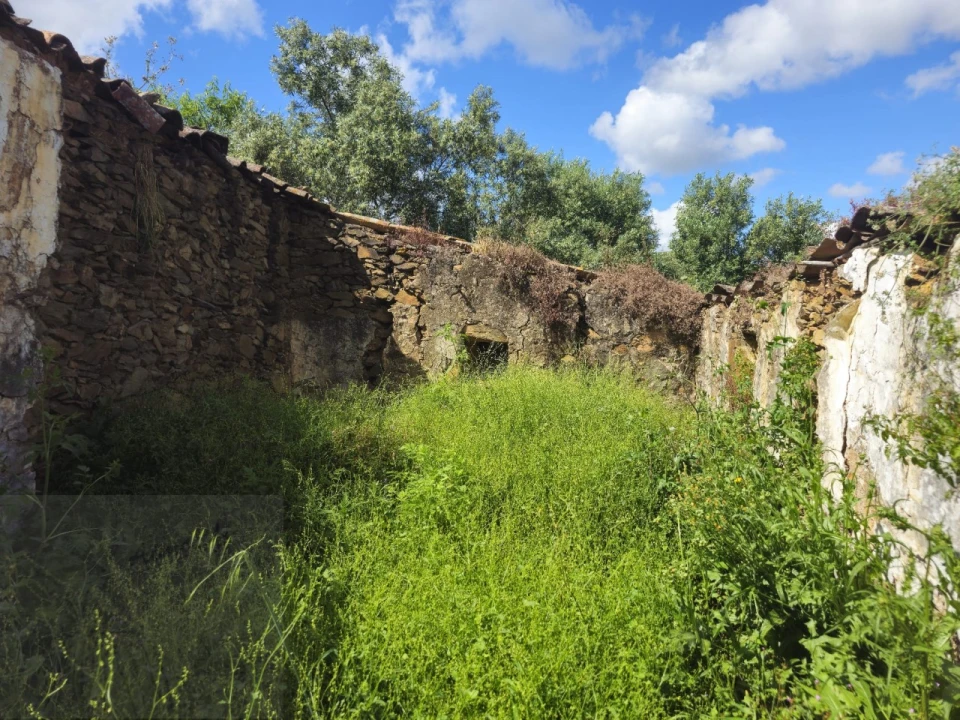Quinta T2 para Venda em Santa Catarina da Fonte do Bispo Foto 4