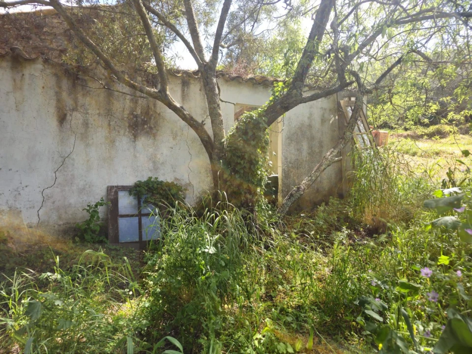 Quinta T2 para Venda em Santa Catarina da Fonte do Bispo Foto 7