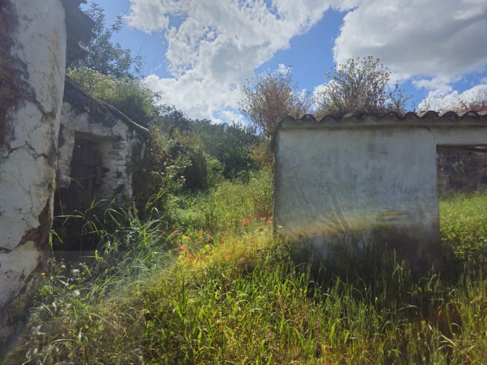 Quinta T2 para Venda em Santa Catarina da Fonte do Bispo Foto 8
