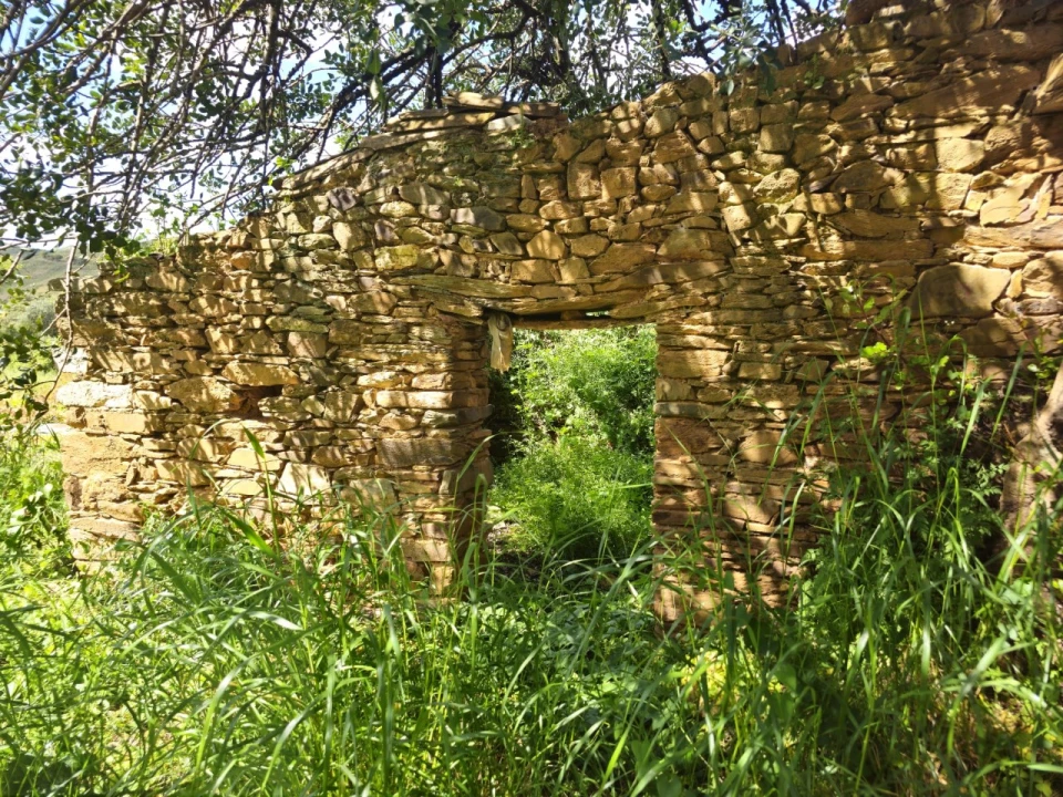 Quinta T2 para Venda em Santa Catarina da Fonte do Bispo Foto 15