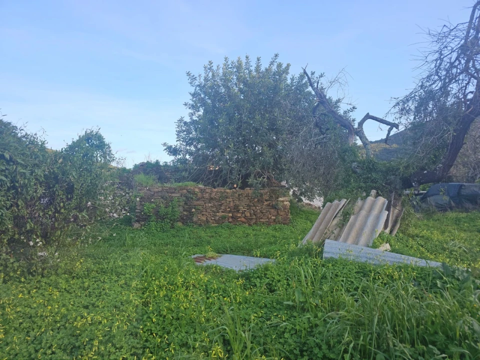 Quinta T2 para Venda em Santa Catarina da Fonte do Bispo Foto 19