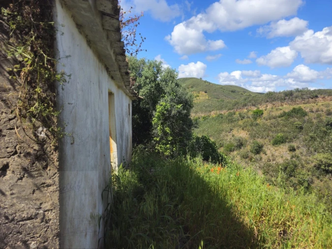 Quinta T2 para Venda em Santa Catarina da Fonte do Bispo Foto 2