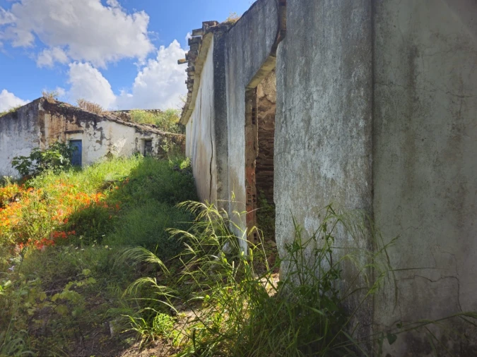 Quinta T2 para Venda em Santa Catarina da Fonte do Bispo Foto 3