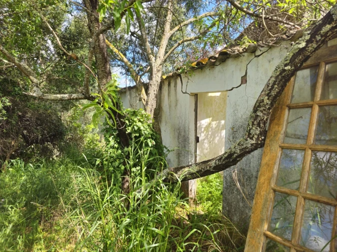 Quinta T2 para Venda em Santa Catarina da Fonte do Bispo Foto 6