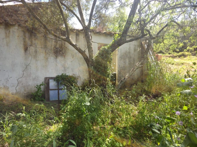 Quinta T2 para Venda em Santa Catarina da Fonte do Bispo Foto 7