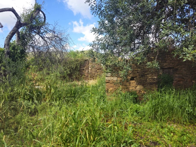 Quinta T2 para Venda em Santa Catarina da Fonte do Bispo Foto 13