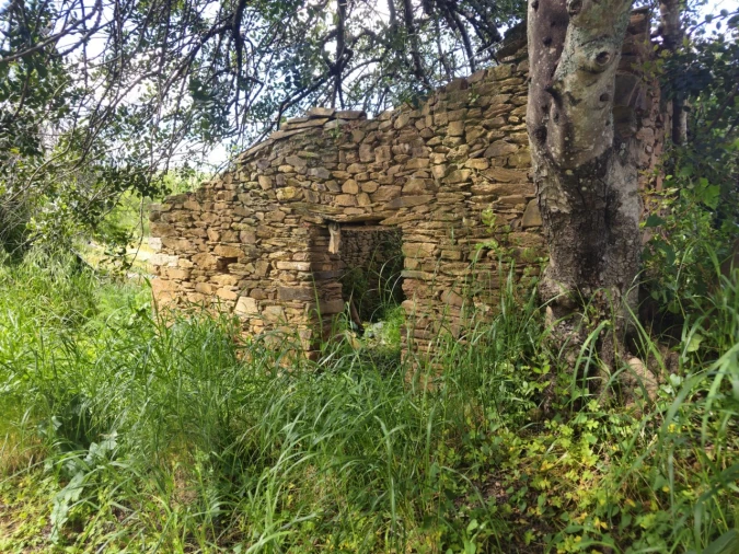 Quinta T2 para Venda em Santa Catarina da Fonte do Bispo Foto 14