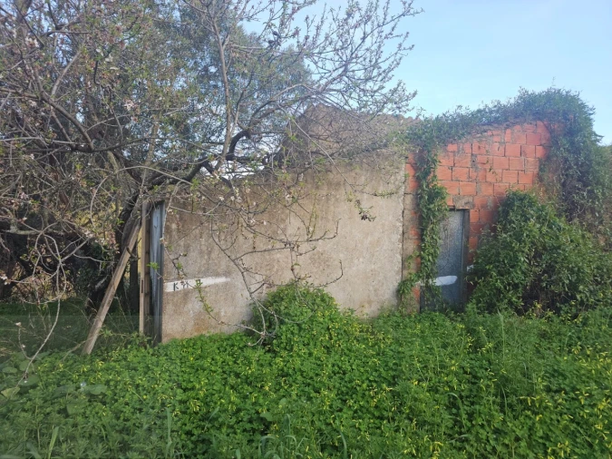 Quinta T2 para Venda em Santa Catarina da Fonte do Bispo Foto 16