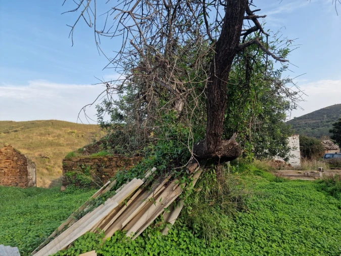 Quinta T2 para Venda em Santa Catarina da Fonte do Bispo Foto 17