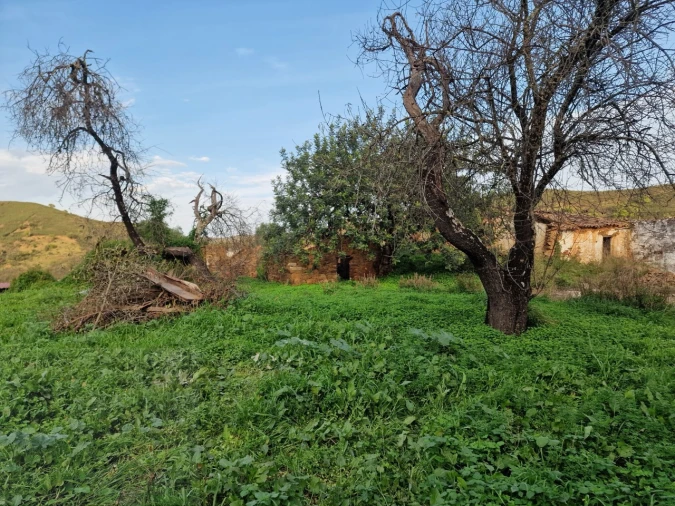 Quinta T2 para Venda em Santa Catarina da Fonte do Bispo Foto 18