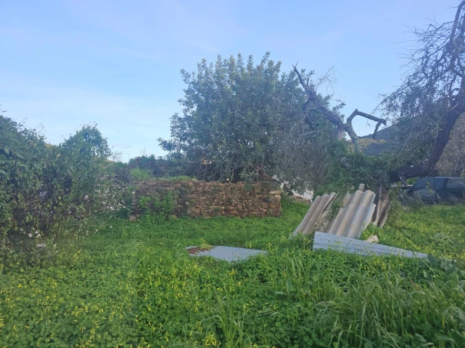 Quinta T2 para Venda em Santa Catarina da Fonte do Bispo Foto 19